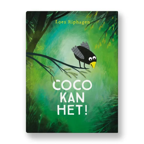 cover alsboek coco kan het copy