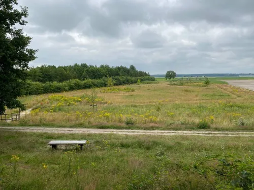 csm foto meerdijk 3a89abf95e