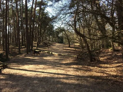duinen