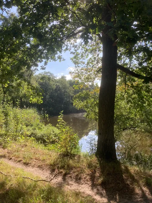 e53820bb 6069 4075 8375 e32296e7ae5e 1 105 c