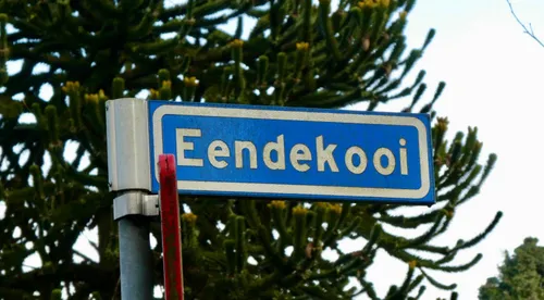 eendekooi