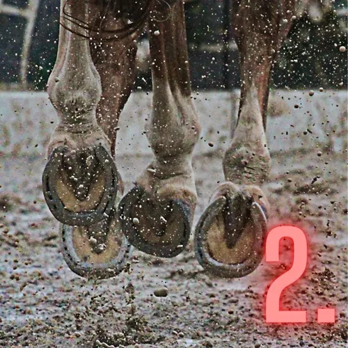 fb img 1698357531616