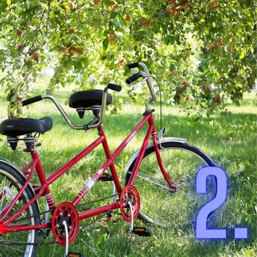 fb img 1698442368842