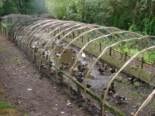 foto fons mandigers eendenkooi lezing 1 dsc00705