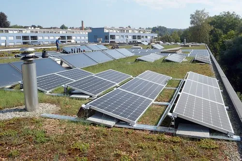 groen en zonnepanelen op dak
