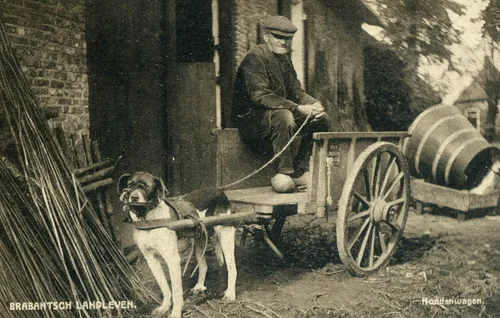 hondenkar dikmans nieuwkuijk 1918