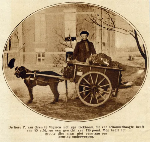 hondenkar piet van oijen 1928