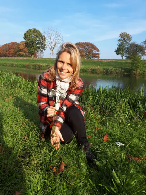 img 20181104 wa0007 1