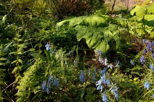 img 20190421 154313 1