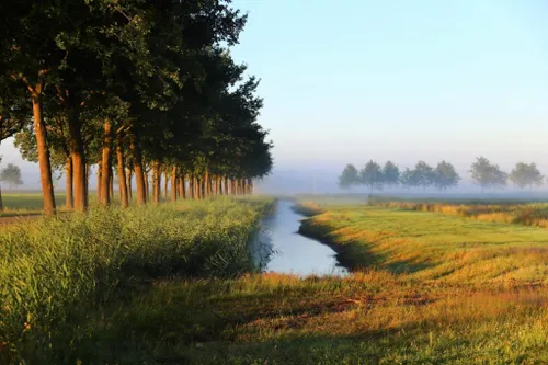 img 2034 medium 1024x683