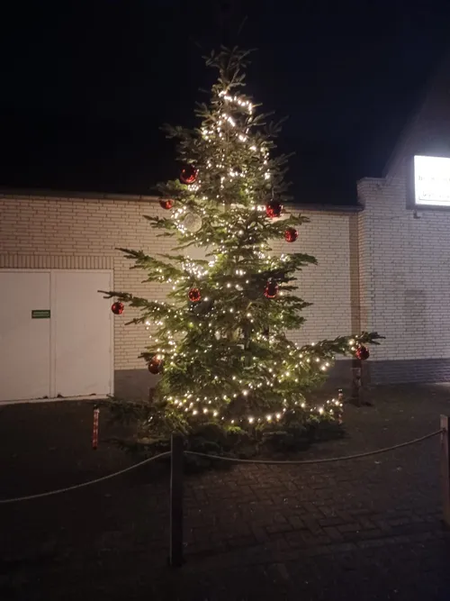 kerstboom 2021