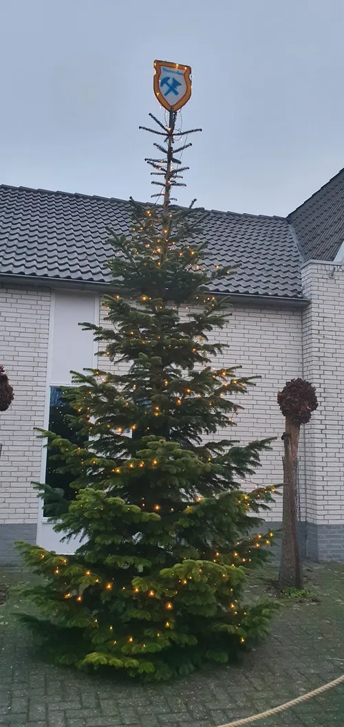 kerstboom