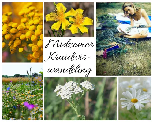 kopie van beige minimalist photo collage 20240520 125205 0000 002