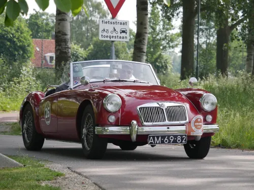 lions rally persfoto 2019