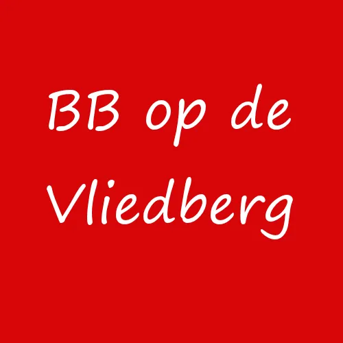 logo buurt bestuurt op de vliedberg