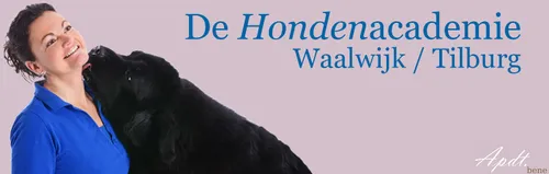 logo ha desiree