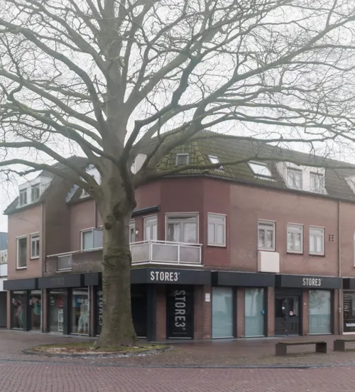 De meer dan 100 jaar oude beuk heeft nu een hoogte van omstreeks 25 meter, een stamomtrek van 3,15 meter en een diameter van 1 meter precies