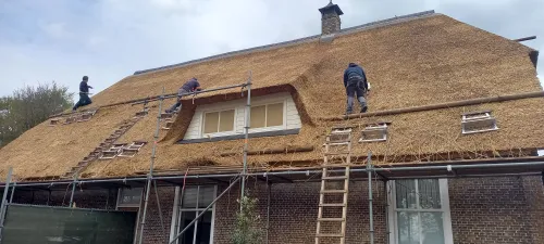 Als het riet is aangebracht wordt het met een drijfbord vlakgeklopt. De nokvorsten zijn dan al aangebracht