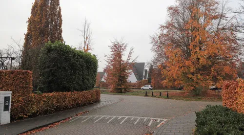 meliestraat meliepark