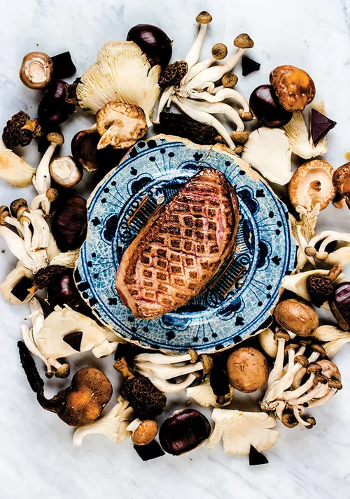 nt eend chocoladesaus 2 finaalkl