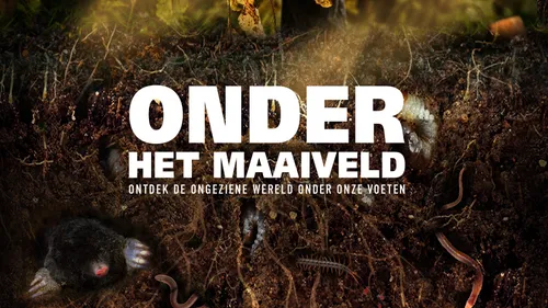 onder het maaiveld poster