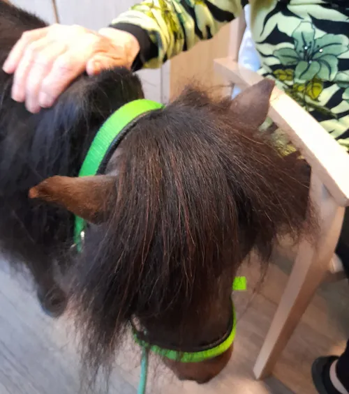 photo 2022 02 16 17 42 36