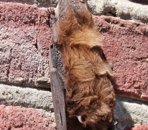 received 784188299543654