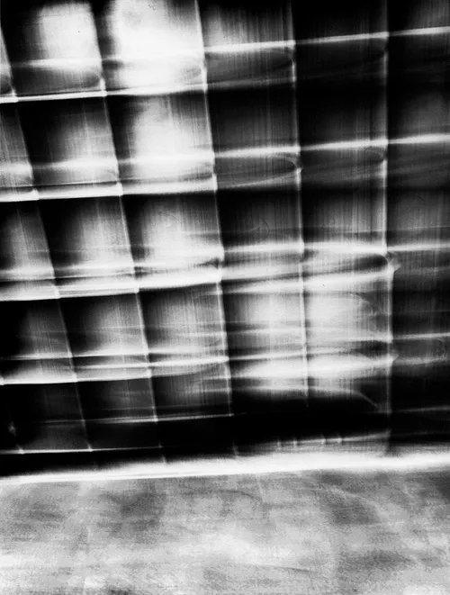 transparency nol trump