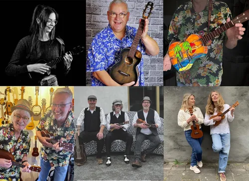 ukulele avond elshout