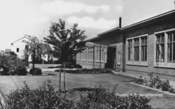 wilhelminaschool drunen