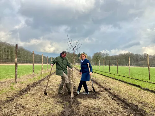aanplant boom door hagar roijackers