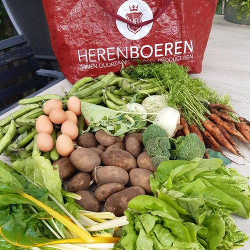 2024 voorbeeld voedselpakket