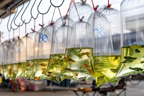 Jaswant Koendjbiharie