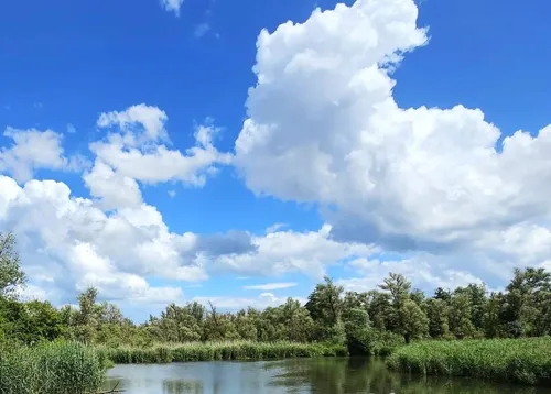 260610-Biesbosch