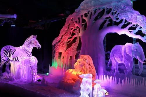 ijsbeelden festival zwolle 2022 opening 38