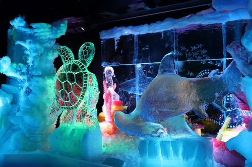 ijsbeelden festival zwolle 2022 opening 55