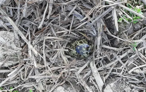 schermafbeelding 2021 03 08 om 154003