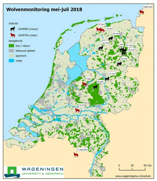 wolf mei juli2018 wenr mail