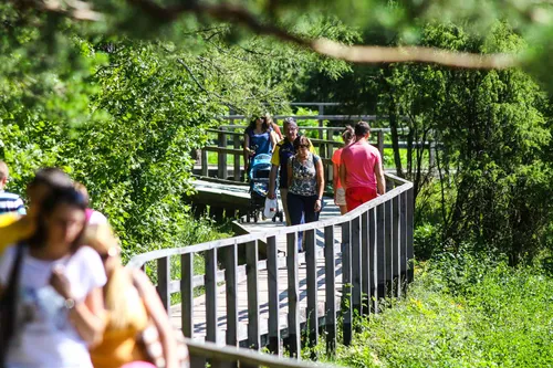 Kadagių slėnis vasarišką savaitgalį