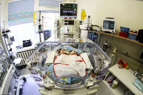 Gimęs ketvertukas Kauno klinikose/Naujagimiai