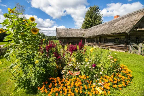 Žolinė Rumšiškėse