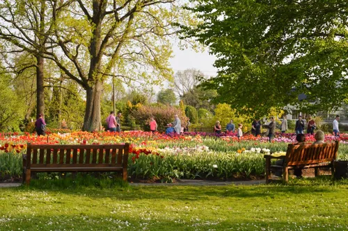VDU Kauno botanikos sodas-Augalų žavadienis