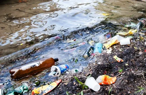 bambaliai metosi visur 74853292