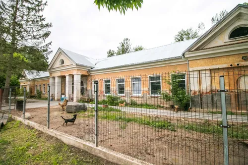 Beglobiai gyvūnai „Penktoje kojoje“