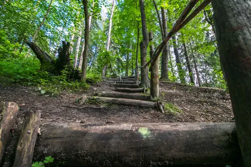 Kleboniškio miškas