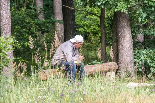 Kleboniškio miškas