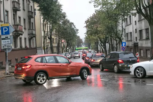 Išvadų pristatymas dėl medžių būklės