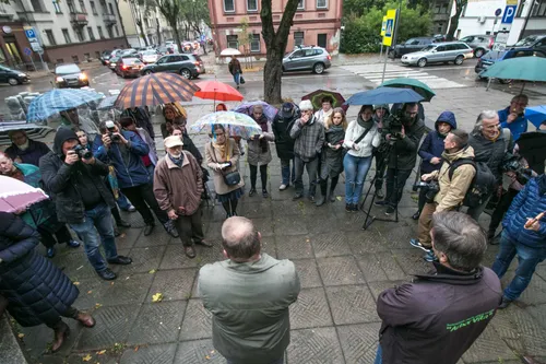 Išvadų pristatymas dėl medžių būklės