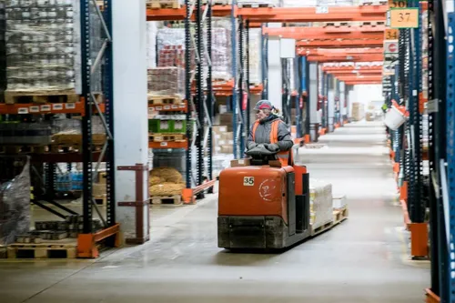 rivona sandelis 74900724