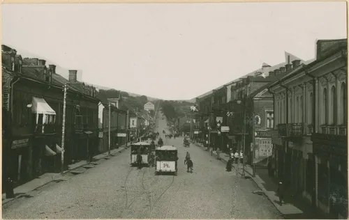 limis 50000001163961